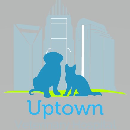 Uptown Veterinary Hospital