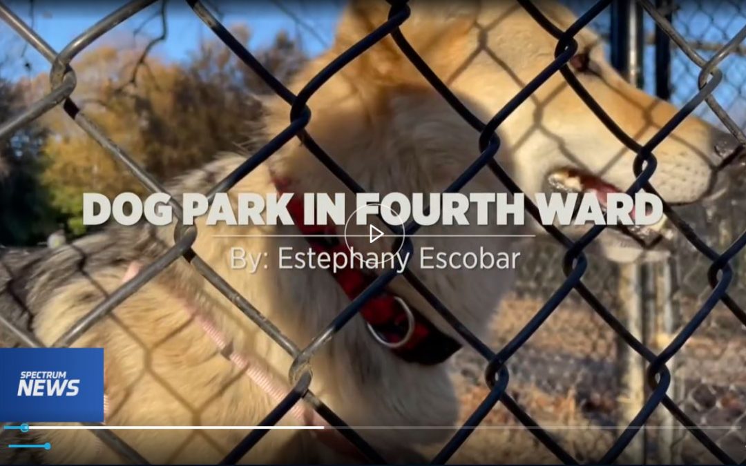 Fourth ward dog park video
